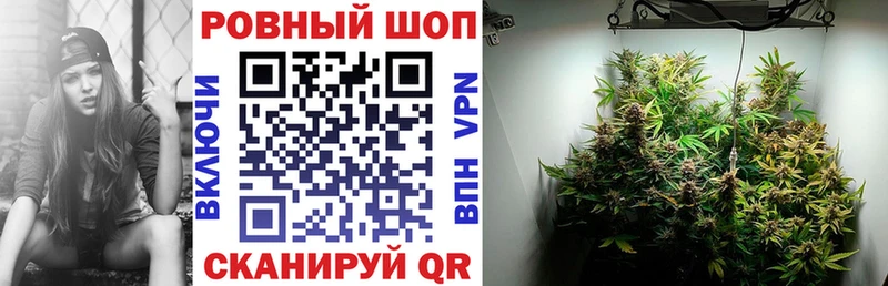 Купить закладку Alpha-PVP  Cocaine  АМФ  Бошки Шишки  Мефедрон  Инза