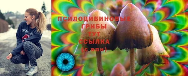 MESCALINE Зеленокумск
