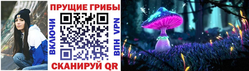 Псилоцибиновые грибы MAGIC MUSHROOMS  Купить где  Инза 